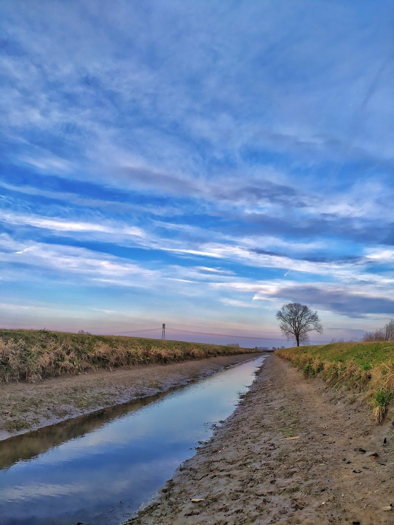 Campagna pavese di valevetri_