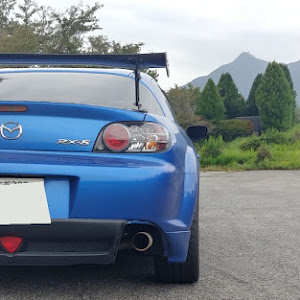 RX-8