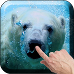 White Bear Live Wallpaper Apk