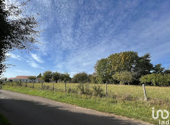 terrain à Cudot (89)