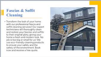 Gutter,Fascias -Soffit cleaning  album cover