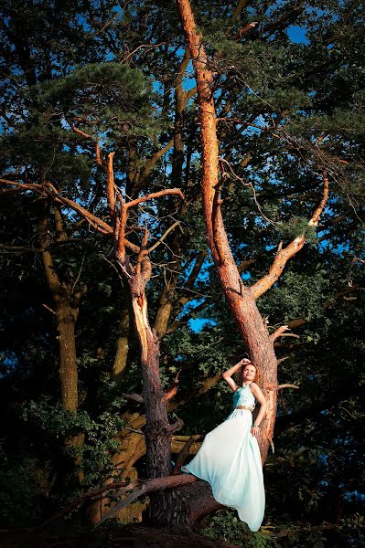 Wedding photographer Aleksandr Khof (halex). Photo of 9 July 2013