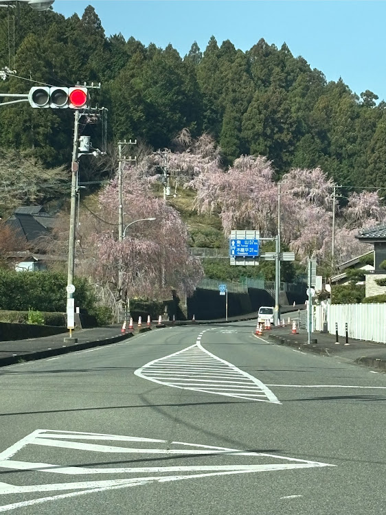 の投稿画像10枚目