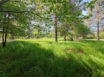 terrain à Bouzy-la-Forêt (45)