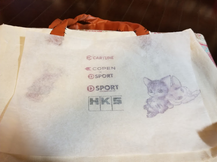 コペンのDIY・コペン・チープな感じ・CT愛猫部・健康診断に関するカスタム事例の投稿画像5枚目