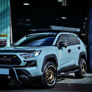 RAV4 MXAA52