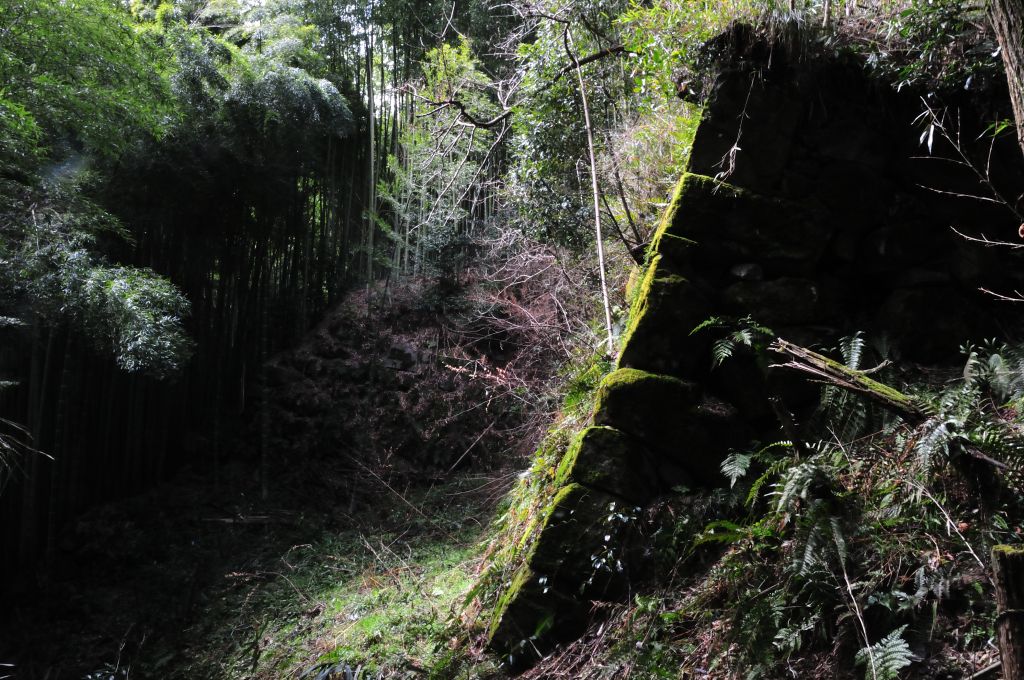 八幡山城