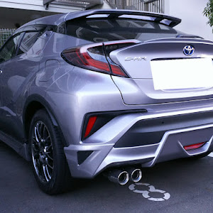 C-HR ZYX10