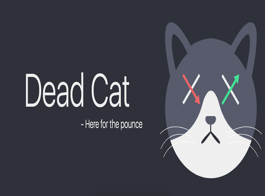 Dead Cat Preview image 1