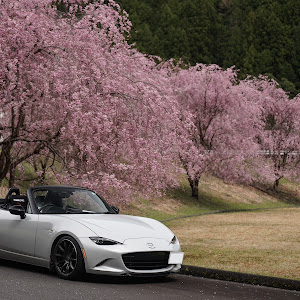 ロードスター ND5RC