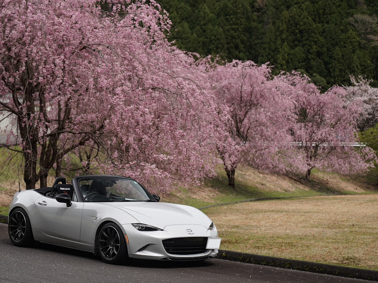 ロードスターの枝垂れ桜に関するカスタム事例の投稿画像1枚目