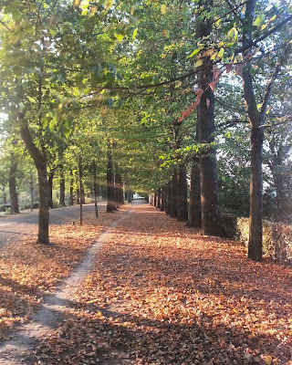 Parco delle Cascine, Firenze di Ire21