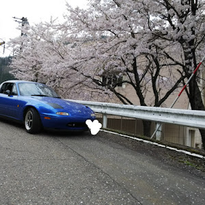 ロードスター NA8C