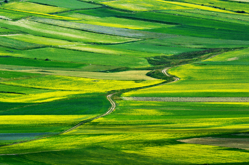 Green Country Road di giuseppedangelo