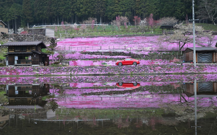 TT クーペの國田家の芝桜に関するカスタム事例の投稿画像4枚目
