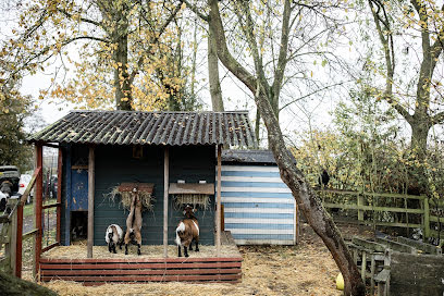 Свадебный фотограф Василий Церевитинов (tserevitinov). Фотография от 11 августа 2020