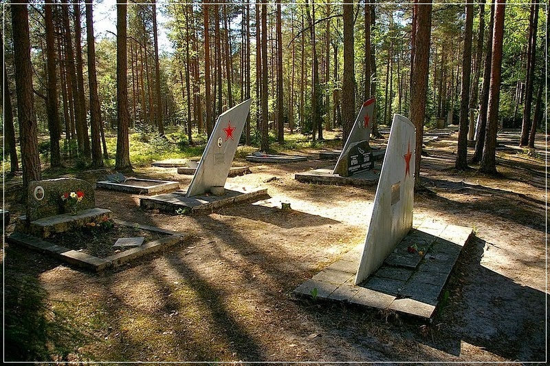 Ämari Air Force Cemetery, o cemitério de pilotos da Estônia