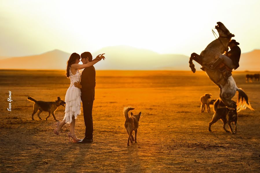 Fotógrafo de bodas Yunus Esen (esenyunus). Foto del 20 de octubre 2019