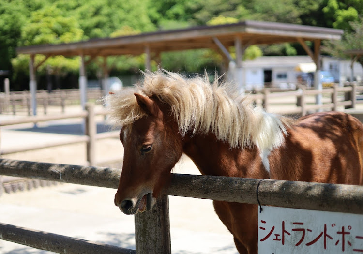 の投稿画像7枚目