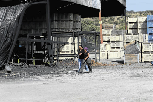 RAZED: Riverside citrus packhouse and factory in Fort Beaufort was destroyed by fire leaving hundreds jobless Pictures: MICHAEL PINYANA