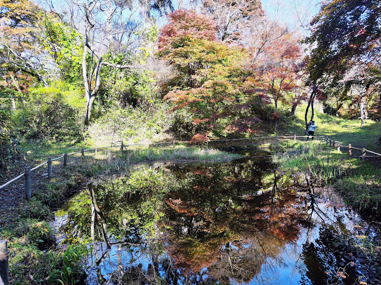 フィット RSの高遠城址・紅葉に関するカスタム事例の投稿画像3枚目