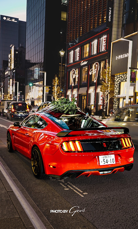 マスタングのクリスマスに関するカスタム事例の投稿画像1枚目