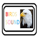 Download Bird Sound For PC Windows and Mac 1.0