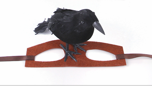 Title 9, Raven Funny Decoration Cat Dress Headgear Make ...