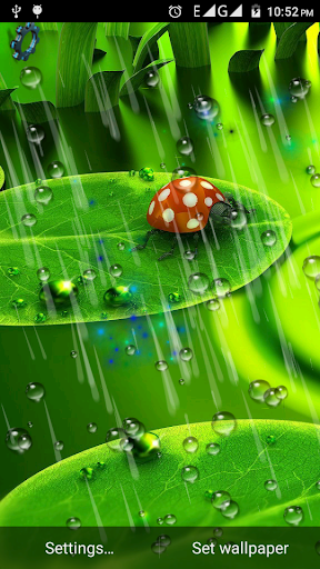 Rain Drops Live Wallpaper