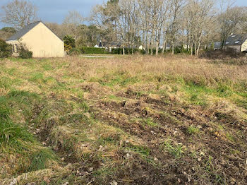 terrain à La Chapelle-des-Marais (44)