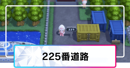 225番道路_マップ