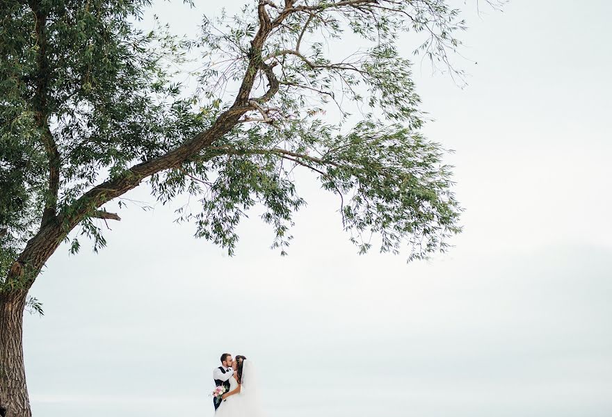 Fotógrafo de casamento Darya Gerasimenko (darya99). Foto de 31 de outubro 2017