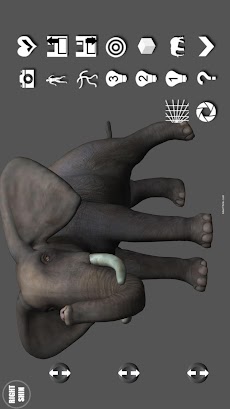 Elephant Pose Tool 3Dのおすすめ画像1