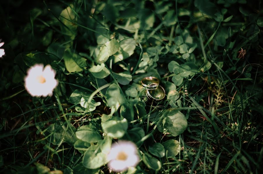 Fotógrafo de casamento Darya Romanova (silentium). Foto de 5 de fevereiro 2019