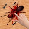 Ant Smasher Game icon