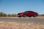 The Mustang GT CS taking a quick breather on the N9 between Aberdeen and Willowmore.