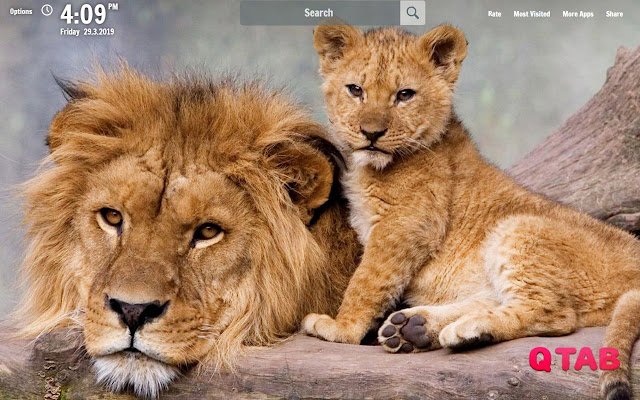 Lion New Tab Lion Wallpapers