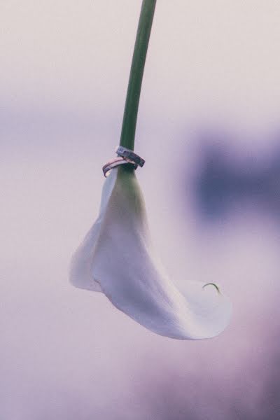 Svadobný fotograf Katya Matveeva (matveevaphoto). Fotografia publikovaná 12. októbra 2019