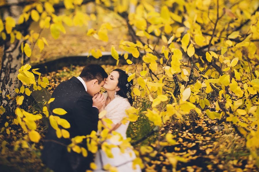 Fotografo di matrimoni Aleksandr Ugarov (ugarov). Foto del 15 febbraio 2015