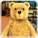 Parler de boxe BearFool icon