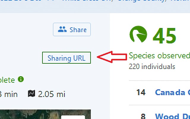 eBird sharing link chrome extension