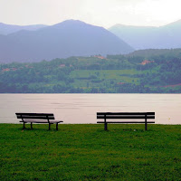 In compagnia del silenzio di 