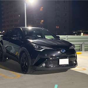 C-HR ZYX10