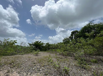 terrain à Le gosier (971)