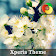 Beautiful Spring | Xperia Theme icon