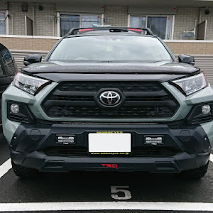 RAV4 MXAA54