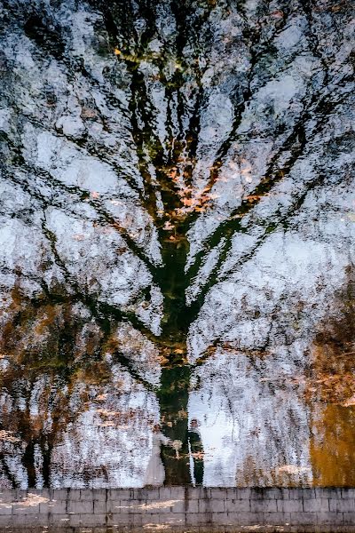 Svadobný fotograf Mikhail Panaiotidi (panaiotidi). Fotografia publikovaná 20. marca 2015