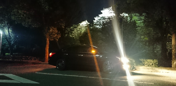 ティアナの夜桜・夜桜コラボに関するカスタム事例の投稿画像2枚目