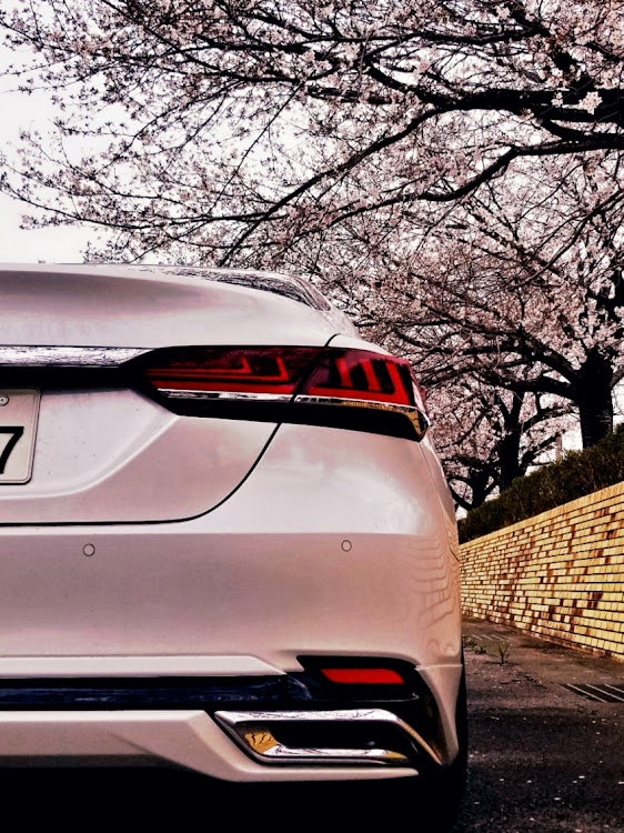 カムリのさくらの木の下で♪・桜は日本の宝・レクサスがカムリを作ったら🤭に関するカスタム事例の投稿画像2枚目