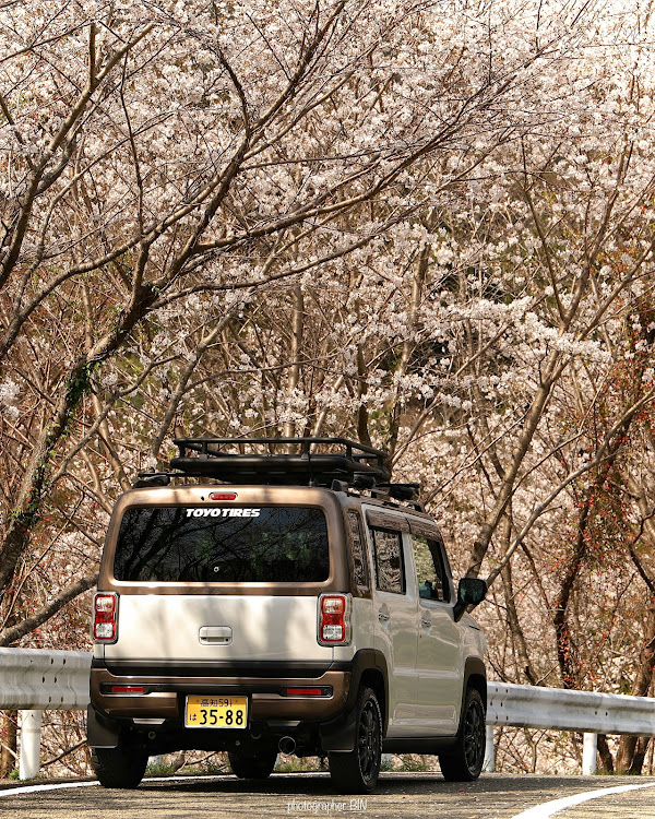 ハスラーの桜コラボ・桜満開・ハスクロ中国四国連合会に関するカスタム事例の投稿画像1枚目